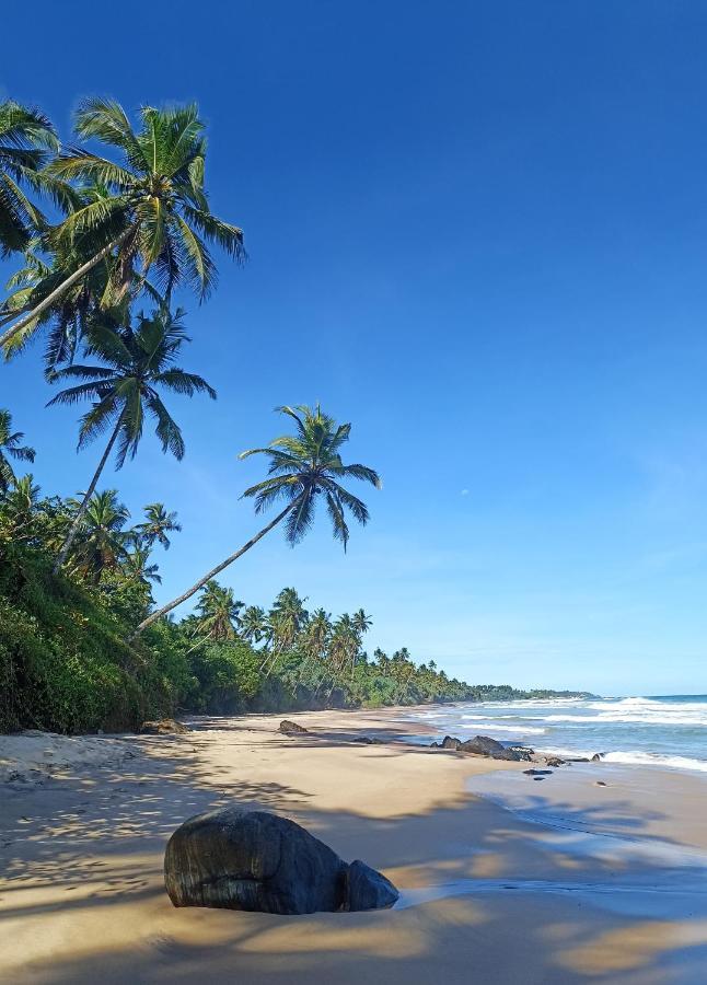 Beach House Kalukatiya - Family Villa, Seaview Room, Garden Room Dickwella Exterior foto