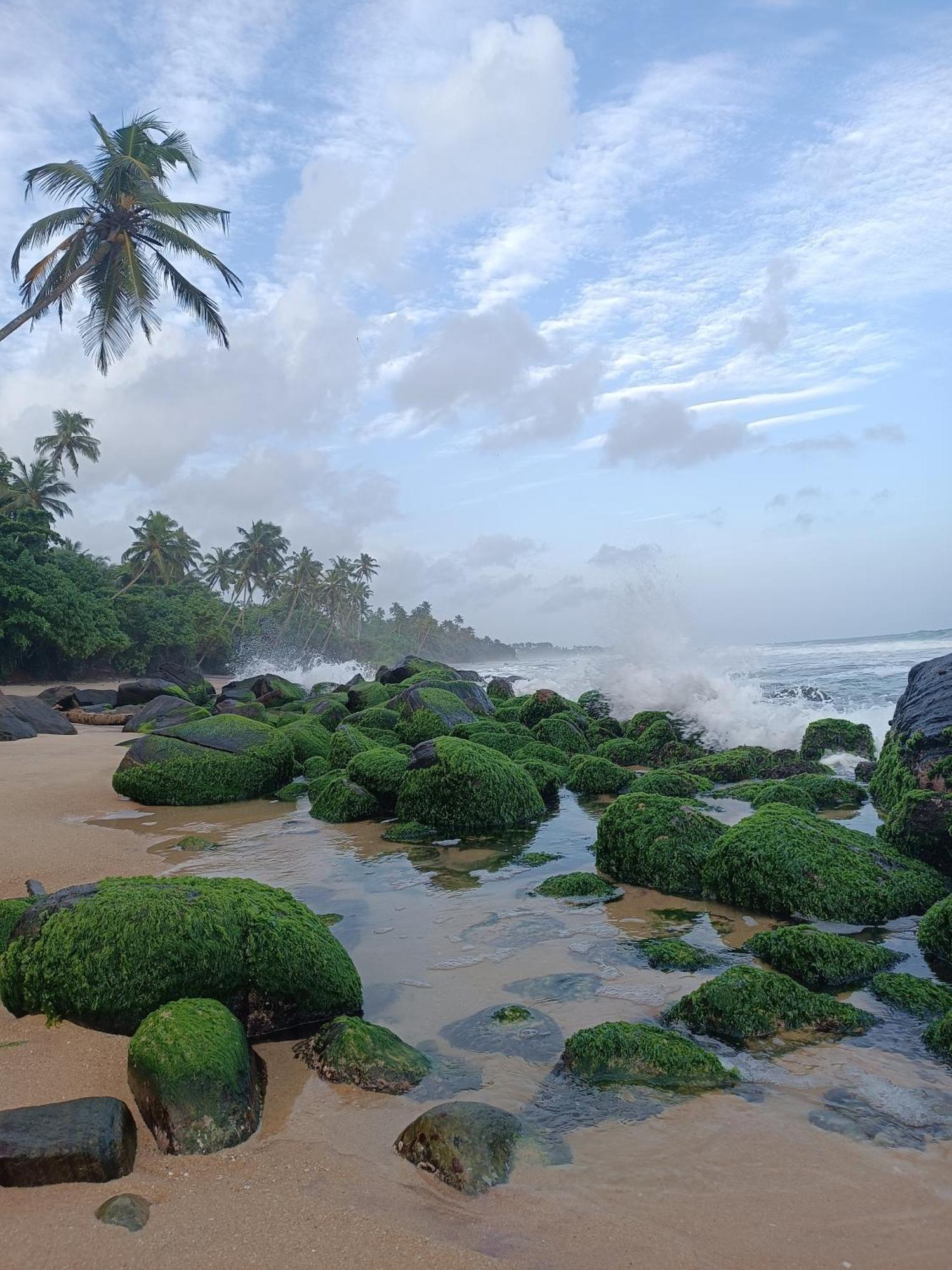 Beach House Kalukatiya - Family Villa, Seaview Room, Garden Room Dickwella Exterior foto
